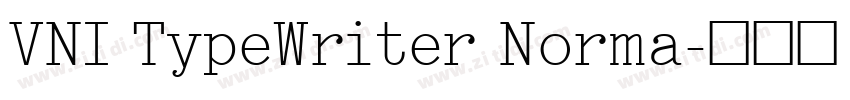 VNI TypeWriter Norma字体转换